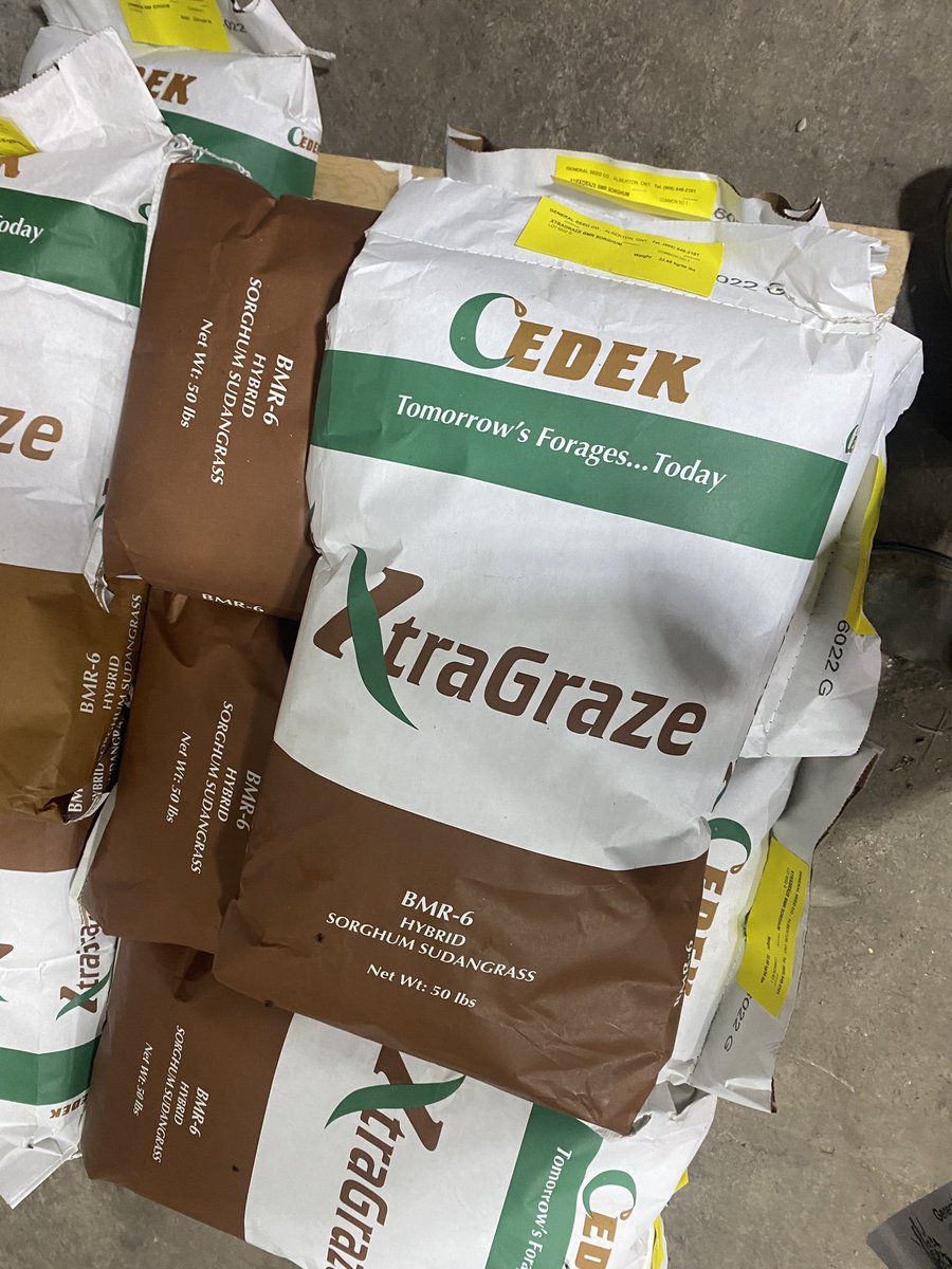 Travis Dietrich tweet media