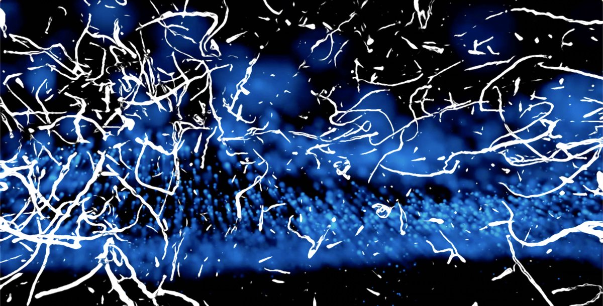 CPNAS's tweet photo. #DASER exploring Art/Science Collaborations and Ocean Research on Thursday, September 7. Featuring @theoceanmemory collaborators Jody Deming, Mandy Joye (@SeepExplorer), @RebeccaRutstein, and Tom Skalak. Registration is open. #LASERtalks https://t.co/IiuFwd3GPd https://t.co/AK4BlfIaTb