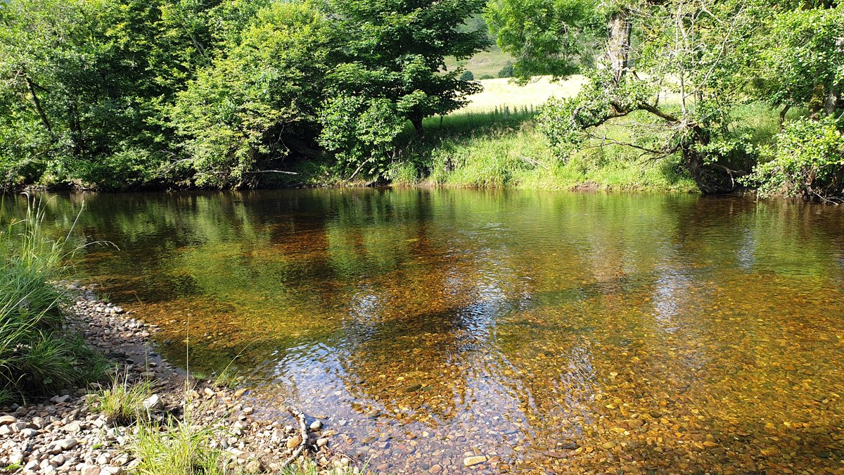 James Hutton Institute (@jameshuttoninst) on Twitter photo Our <a href="/HuttonEBS/">EBS James Hutton</a> team has been out in Perthshire taking #soil, water and #wildlife scat (poo) samples.
These samples will help to hunt down the #microorganism that causes Johne’s disease, a fatal wasting disease in #cattle and #sheep.
#Fridayinthefield Our <a href="/HuttonEBS/">EBS James Hutton</a> team has been out in Perthshire taking #soil, water and #wildlife scat (poo) samples.
These samples will help to hunt down the #microorganism that causes Johne’s disease, a fatal wasting disease in #cattle and #sheep.
#Fridayinthefield