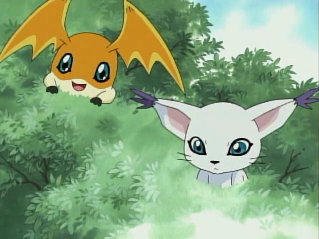 digimonzthinker's tweet photo. [📸] digimonz 🧡 https://t.co/paKfXY2R2e