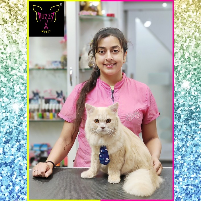 FuzzyRadhiya's tweet image. LEO  the Persian Cat 😺
GROOMED FUZZY WUZZY 
To book your pets&apos; Grooming and Spa appointment. Kindly call / WhatsApp on 9341433040 😍
.
Follow us on @FuzzyRadhiya for new updates 🐩
.
fuzzywuzzy.in
.
#catgrooming  #fuzzywuzzy
