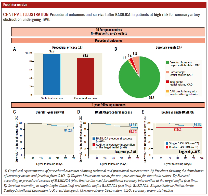 EuroInterventio's tweet photo. In a multicentre European setting, BASILICA appeared to be feasible and safe in real-world practice with initial proctoring support. Clinical outcomes at 30 days and one year showed no differences between single- and double-leaflet procedures.https://t.co/QS4y0U8mPz https://t.co/CH3eD5qiKn