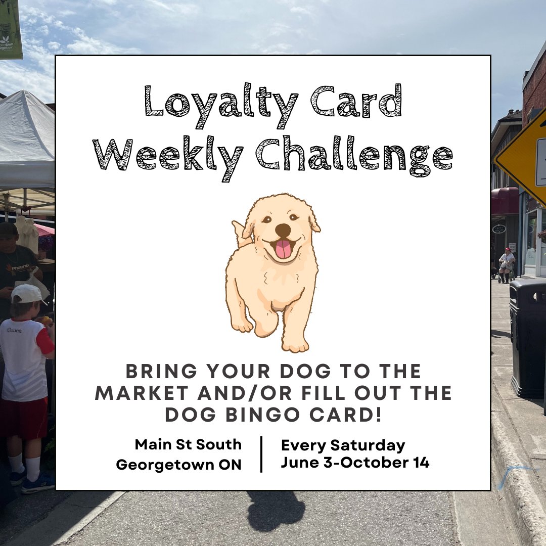 GeorgetownFM's tweet image. Calling all dog owners and lovers. This week's loyalty card challenge is for you! Bring your dog to the Market or have fun and fill out one of our Dog Day Bingo cards. #georgetownfarmersmarket #haltonhills