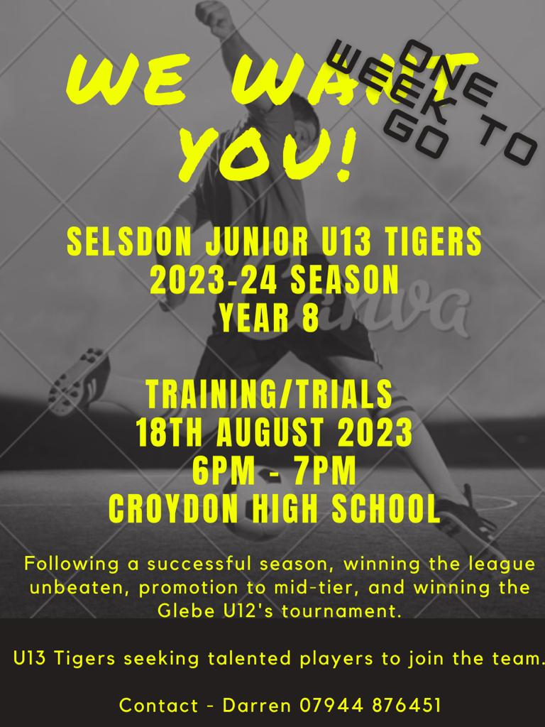 Selsdon Junior FC tweet media
