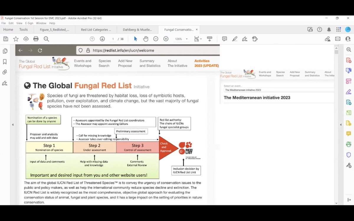 Susana C. Gonçalves, PhD 🍄👩🏻🔬 💪💬 (@cfe_mycolab) on Twitter photo Happy #FungiFriday! For those of you who have always wanted to know how to make assessments of #fungi for the <a href="/IUCNRedList/">IUCN Red List</a>, here's a step-by-step guide by the most authoritative voices in the field: A. Dalhberg and G. Mueller.
> youtu.be/hpaShjcGk0w
> youtu.be/1yMQHUjsPPQ Happy #FungiFriday! For those of you who have always wanted to know how to make assessments of #fungi for the <a href="/IUCNRedList/">IUCN Red List</a>, here's a step-by-step guide by the most authoritative voices in the field: A. Dalhberg and G. Mueller.
> youtu.be/hpaShjcGk0w
> youtu.be/1yMQHUjsPPQ