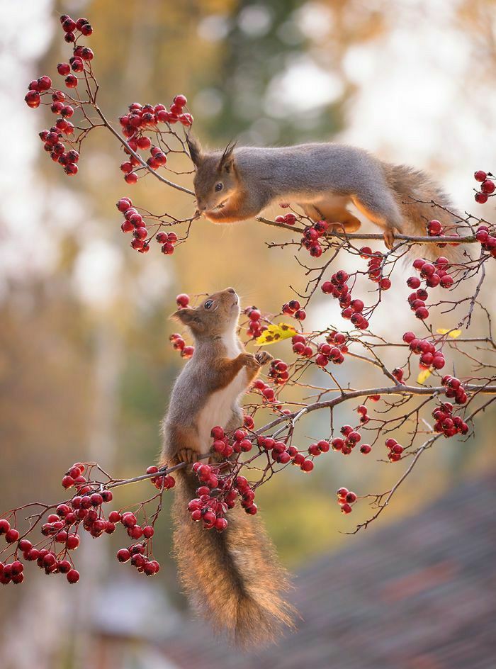 Happy Friday.💟 #wildlifephotography #nature