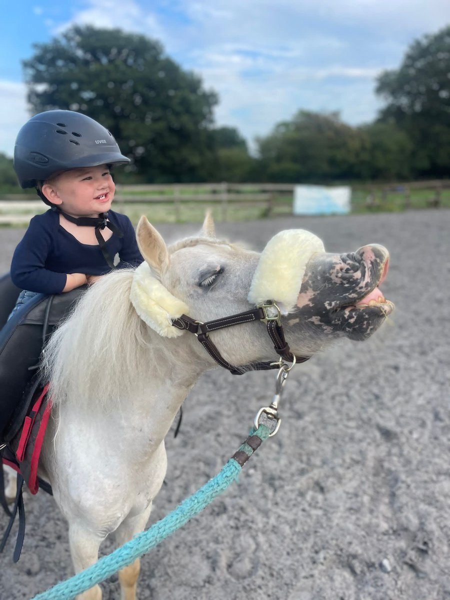 Alastair Stewart tweet media