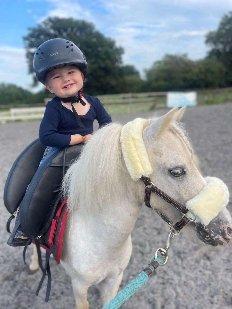 Alastair Stewart tweet media