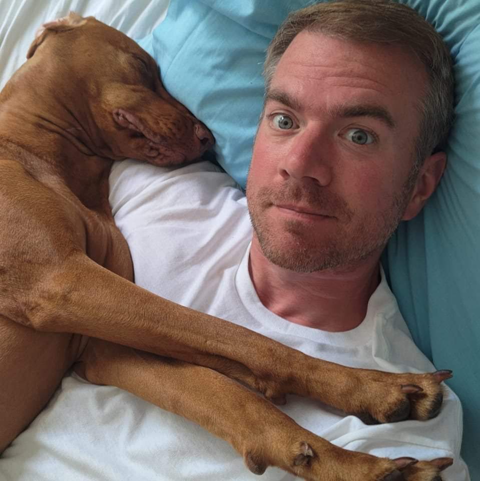 KidaMonkey's tweet photo. Happy Friday!! 
#vizsla #Friday #FridayFeeling https://t.co/sjE2fk6K8s