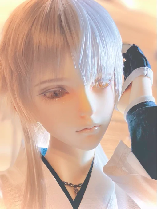 なんか撮ってて改めて思ったけどやっぱうちのドル鶴さん顔バブくない……!?(好き) 