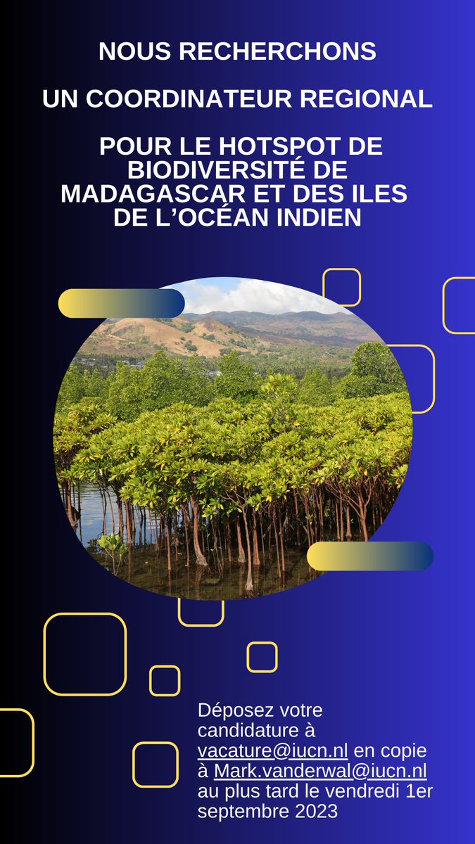 SAF_FJKM's tweet photo. RECRUTEMENT COORDINATEUR REGIONAL
Détails : https://t.co/b2s2Gc1rRo
CV et lettre de motivation à  envoyer avant le vendredi 1er septembre 2023 : vacature@iucn.nl en copie à Mark.vanderwal@iucn.nl https://t.co/z8ETt6V4Iz