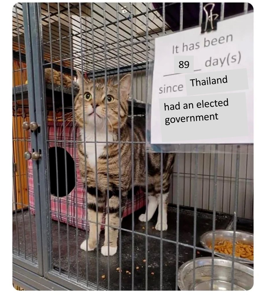 Karen Lee tweet media