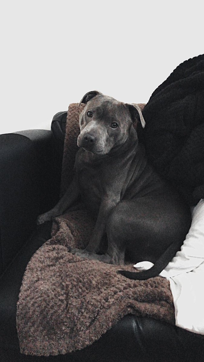 Nathan John tweet media