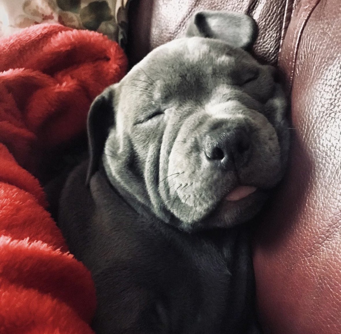 Nathan John tweet media