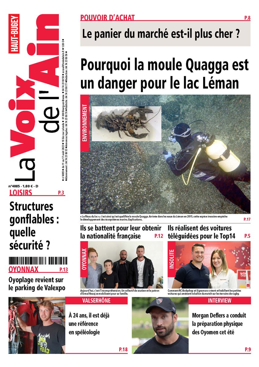 nicolas bernard tweet media