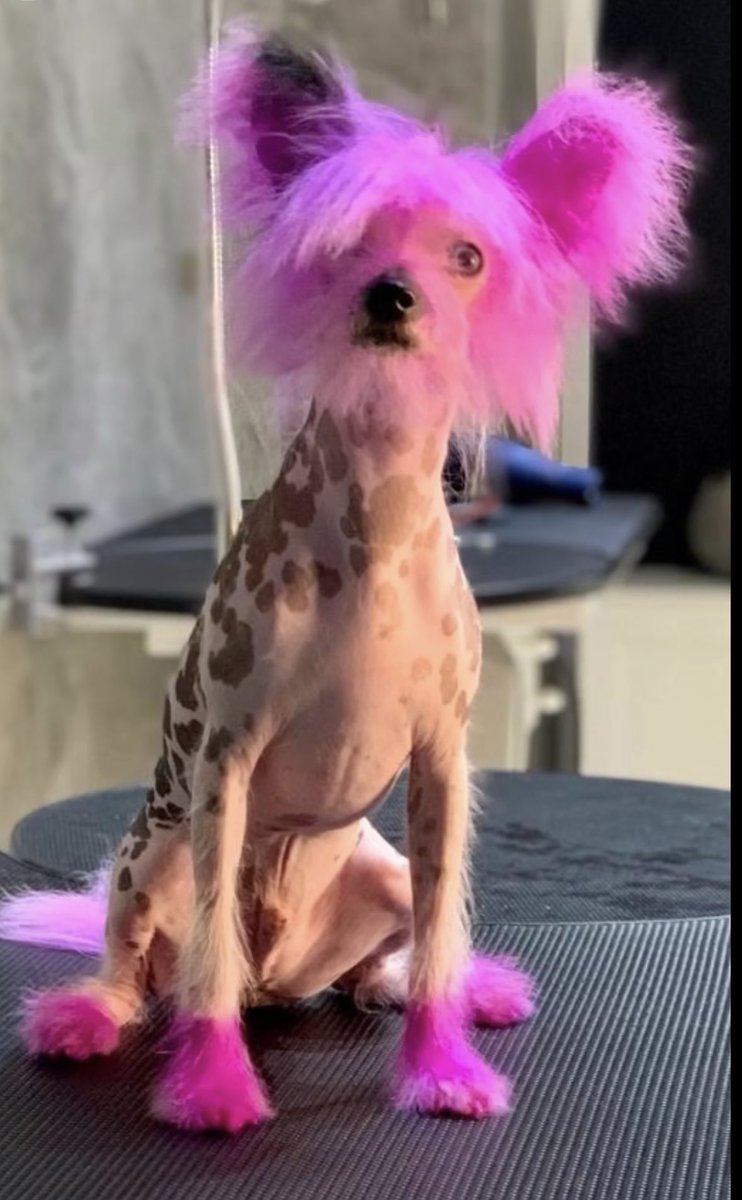 باربي ولا مب باربي؟