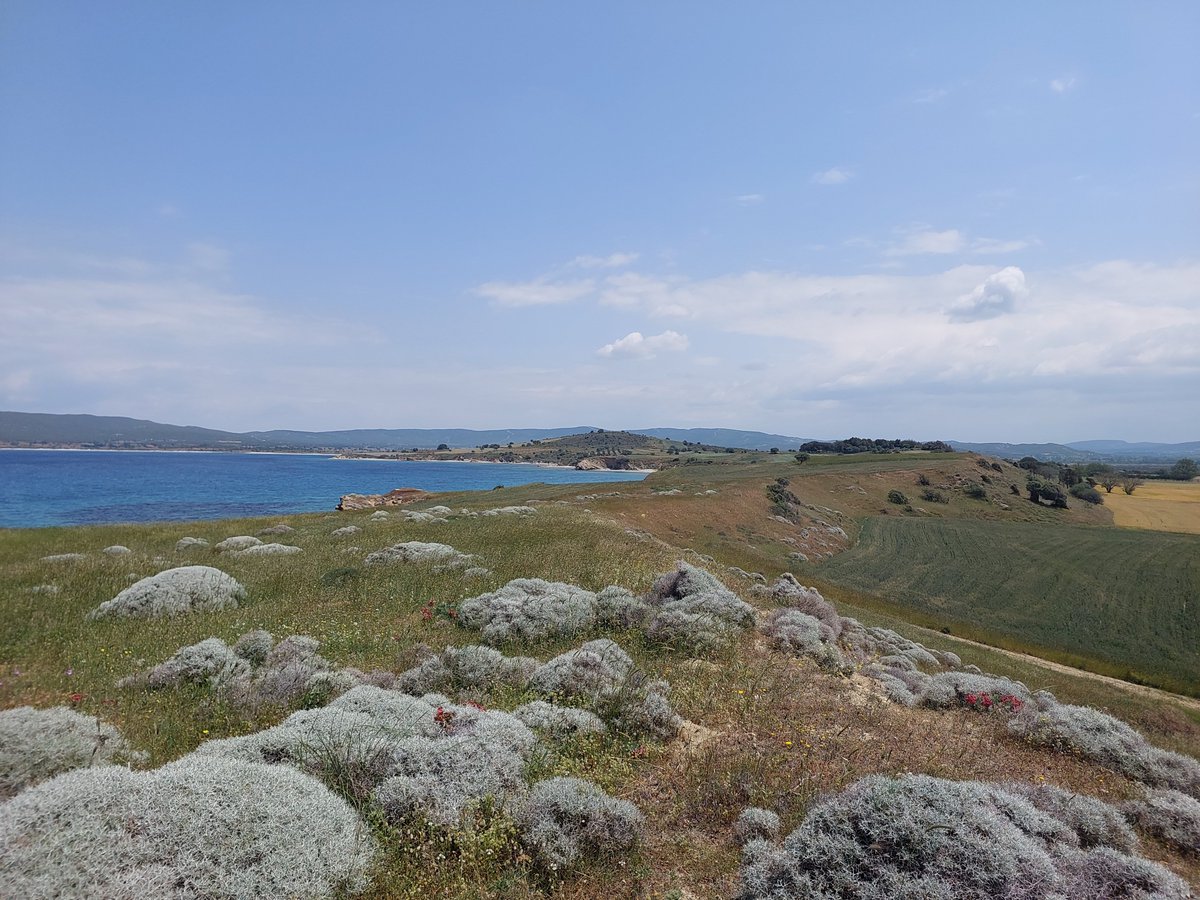 Looking from Niburenesi point to Lala baba where Yorkshire Regiment landed on August 7th.
