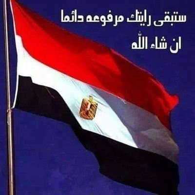 emad_2000_2020's tweet photo. @eman__tawfik @BMsrr9567644 عيوننا ساهر لى كل كلب حقير مثلهم الخونه هم أعداء مصر الثاني بعد إسرائيل الذين هم عملاء لها مصر جاهزة لكل كلب حقير وأبناء مصر جاهزين لنصر حفظك الله يا وطن https://t.co/oaX3wQcyrB