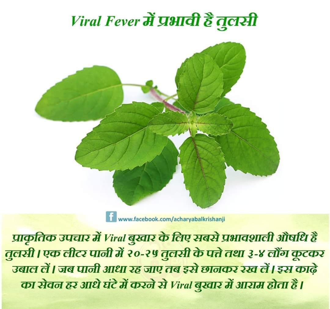 Viral Fever में प्रभावी है तुलसी 
<a href="/Akash_bst/">आकाश</a> <a href="/Anand_arya246/">Anand Arya patanjali</a> <a href="/CS__Patel/">🩷 Saroj - Patel - Riya नाम ही काफी है</a> <a href="/DrJaideepArya/">Dr Jaideep Arya जयदीप आर्य</a> <a href="/KaulRajesh59/">Rajesh Kumar</a> <a href="/sandeep_yb/">सोशल योगी संदीप सनातनी🏃 🇮🇳</a> <a href="/Sanjivani_MPYS/">Sanjivani_MPYS #SocialYogi</a> <a href="/Santosh00455545/">सोशल योगी सन्तोष @</a> <a href="/lalurajpurohet/">लाल सिह राजपुरोहित</a> <a href="/Basant_Khedia/">Basant Khedia</a> <a href="/katyayanashu/">Dr. Ashish Satyanarayan Mishra 'vaham'</a> <a href="/hareram_ya/">Hareram Yadav🇮🇳</a> <a href="/_Hindi_Hai_Hum_/">♔ हिंदी हैं हम ♔ 💯 Follow Back 💯</a> @AlokSinghup1 <a href="/JaiBharat_ABose/">WO Abhijit Bose(IAF Veteran) 🇪🇬</a> @yadavjyoti888 <a href="/Jansse43567/">pooja</a>