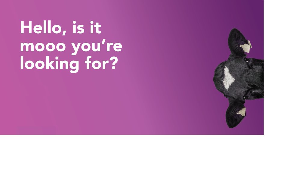 PurpleCowTrain's tweet photo. Do mooo need training?!

At Purple Cow, we provide health and safety courses and programmes tailored to every industry, level and position. 

Support is just a phone call away, why not get in touch with us today?

0345 009 1277 https://t.co/tAtuxqxdSI