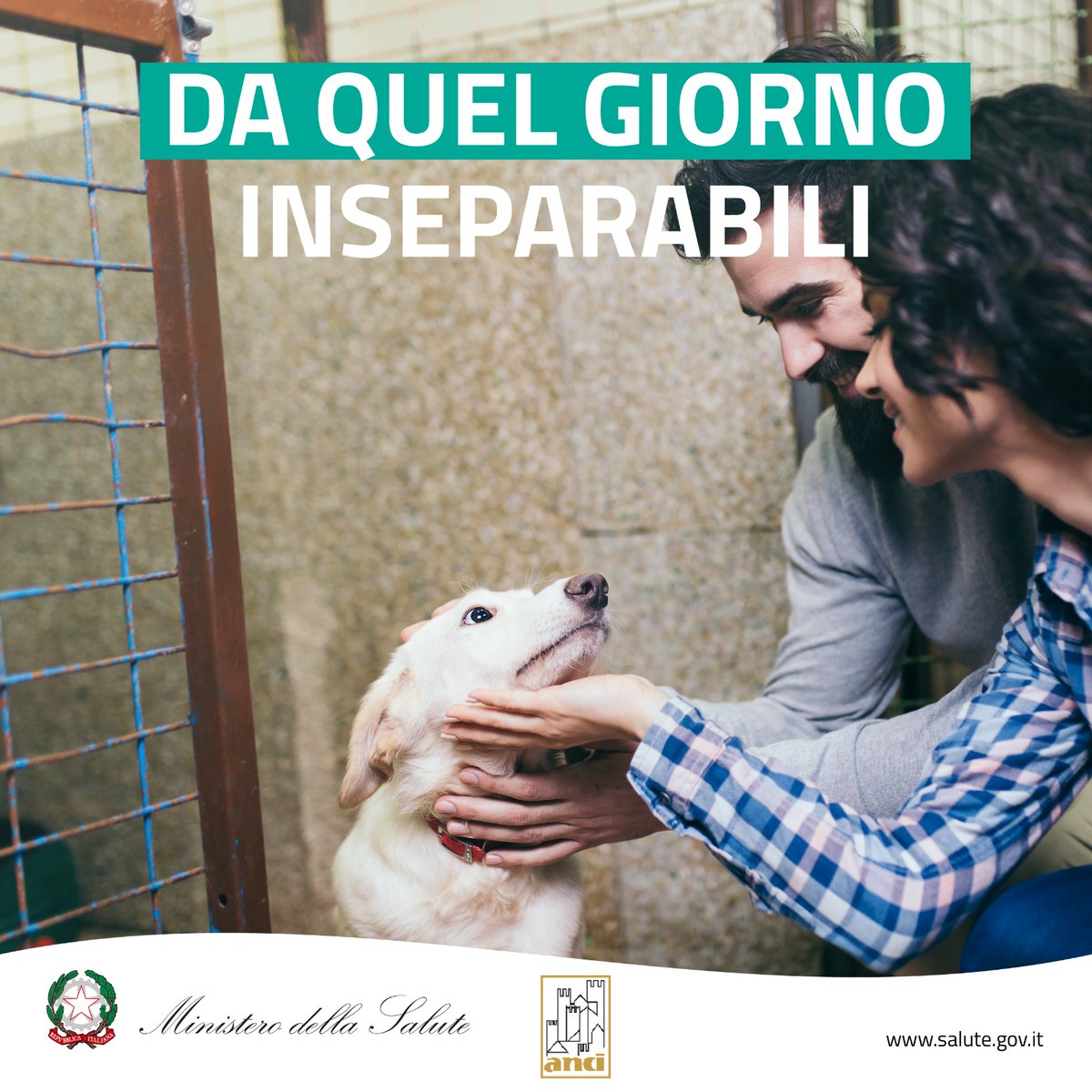 MinisteroSalute's tweet photo. ❤️🐾#Adozione vuol dire scegliere di condividere la propria vita insieme a un nuovo amico che prova emozioni e sentimenti e per questo va amato, curato ed accudito.

Adotta un amico a quattro zampe, da quel giorno #inseparabili.
👉https://t.co/RSN1GnaBjV...
 
@comuni_anci https://t.co/RFIwPkyN87