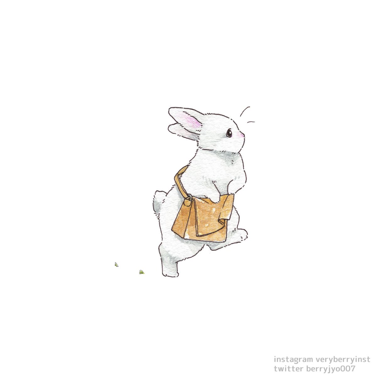 rabbit no humans white background apron simple background animal focus animal  illustration images