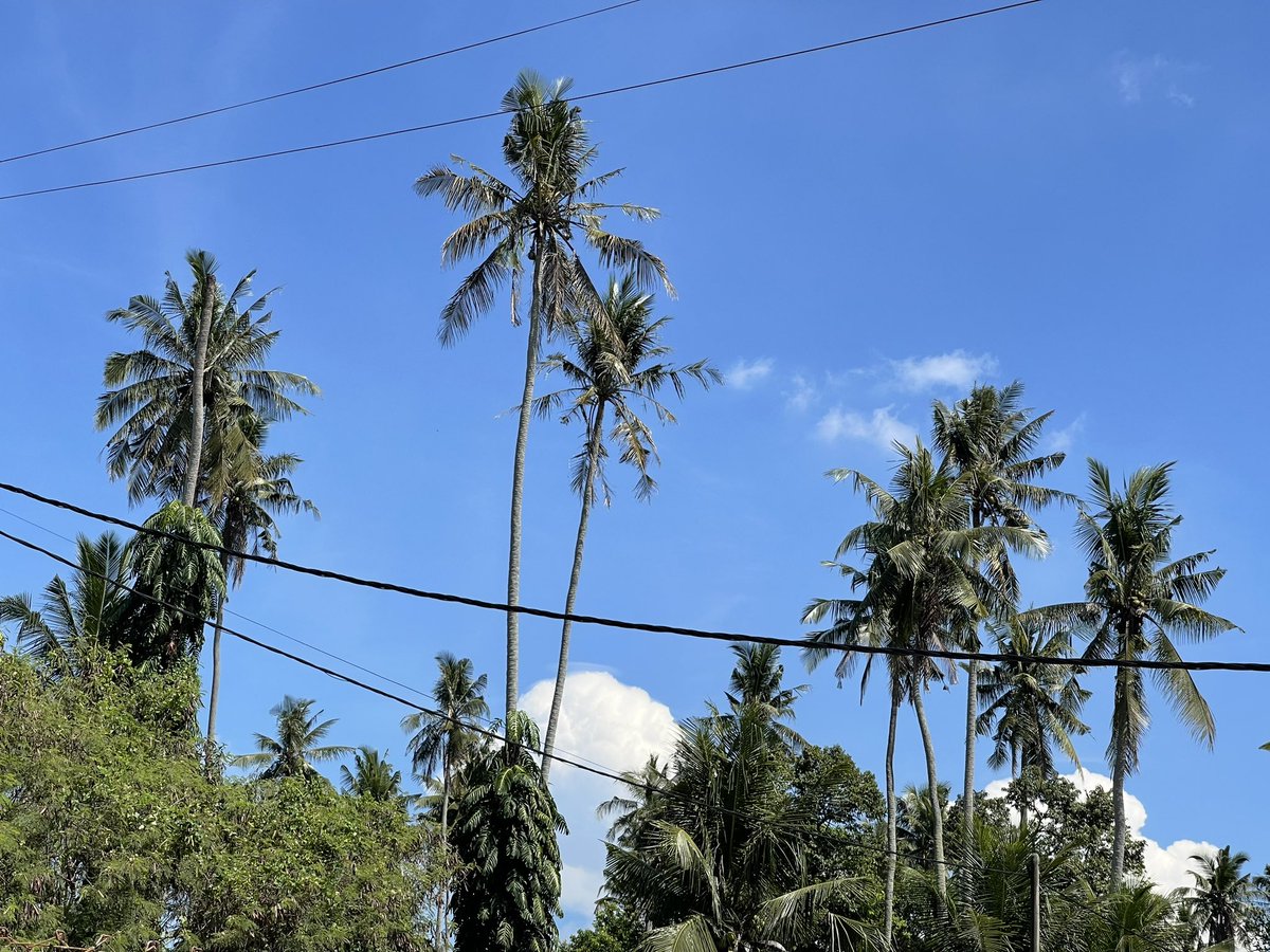 ChengTK2's tweet photo. Clear sky in rural 🧡 https://t.co/uDh3x0cUND