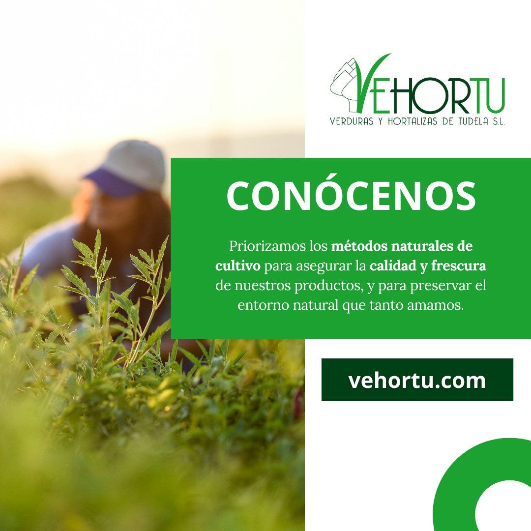 vehortu's tweet photo. #VEHORTU 👩‍🌾 CONÓCENOS
La excelencia en cada bocado: #verduras y #hortalizas de la mejor huerta del mundo, directamente a tu mesa. 
🌐 https://t.co/Q4sXYk4qgp https://t.co/bSq2eZOGrE