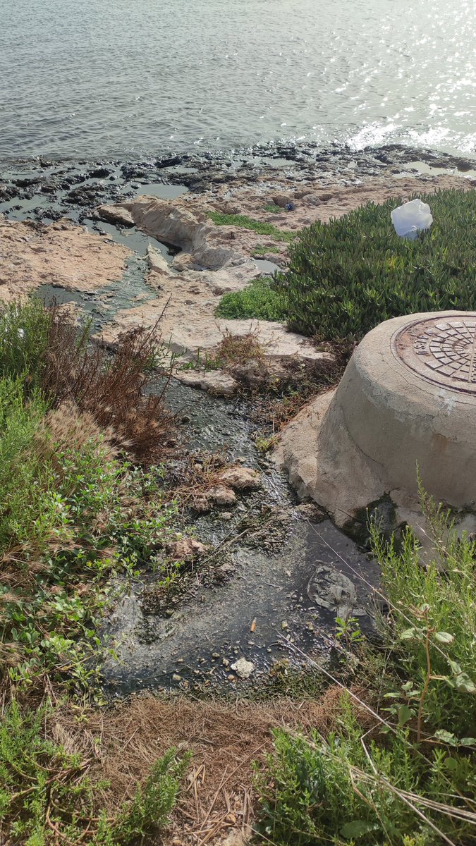 AlexSzGa's tweet photo. Vertido de aguas residuales a la salida del canal del Puente del Estacio, en La Manga. ACTUACIÓN URGENTE!! Por favor. Os pongo el punto exacto.  @regiondemurcia @AmbientalRM https://t.co/QjbK8AmhiF