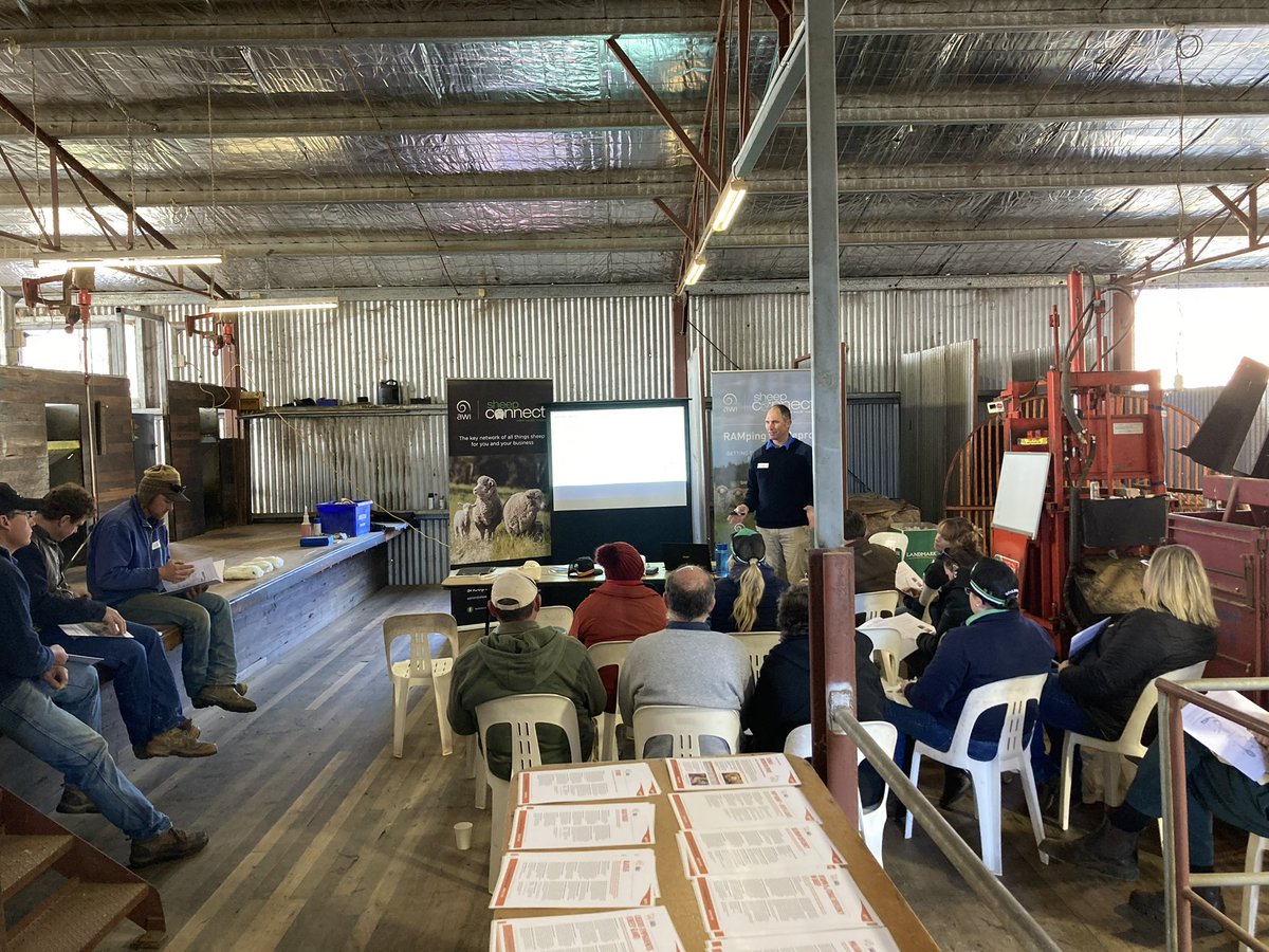 AWIExtensionNSW's tweet photo. Great roll up at the AWI Sheep Connect NSW Zoetis RAMping Up Repro Workshop in Goulburn today! ๐
#rampinguprepro @woolinnovation https://t.co/sO5kSZgKTI