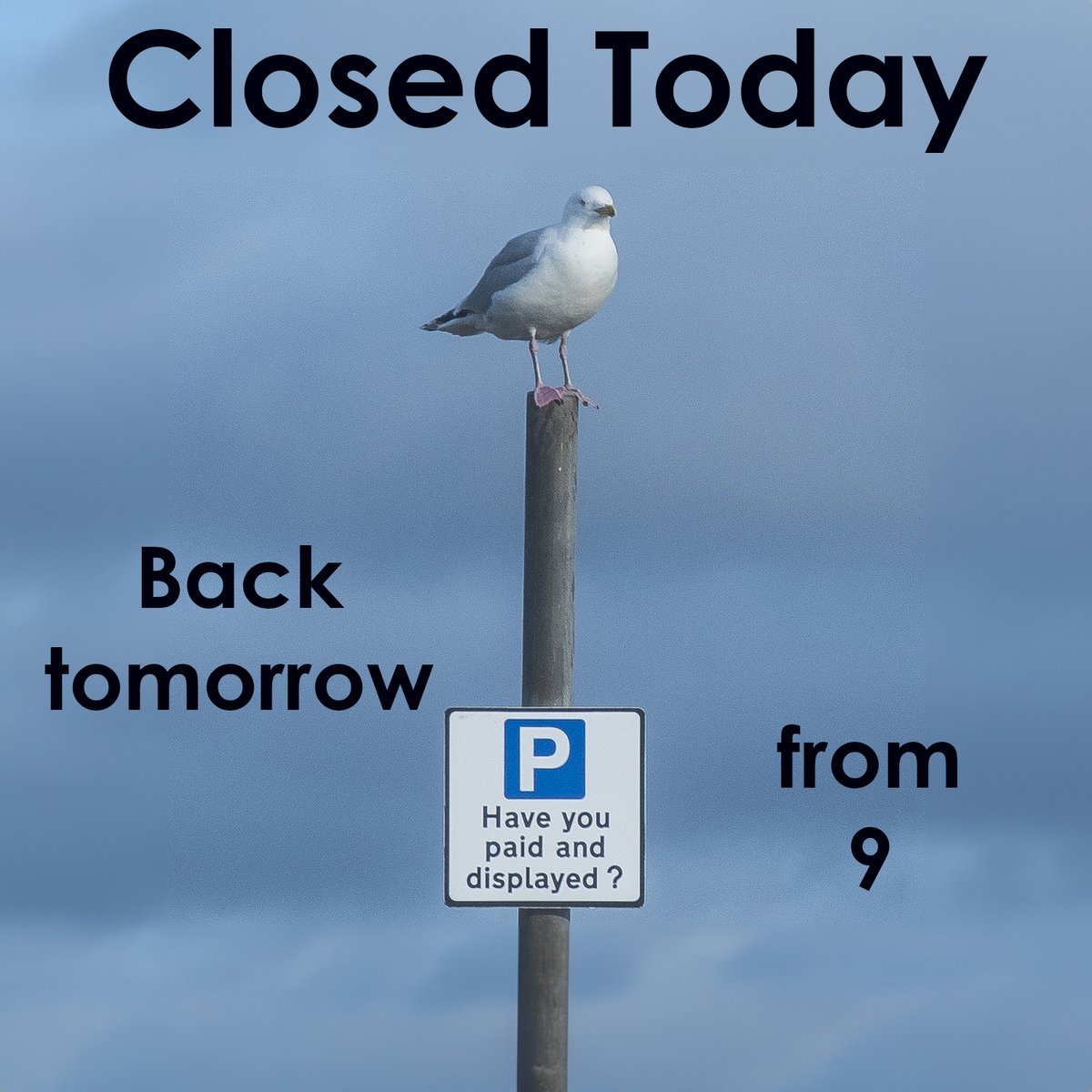 PhotographerMW's tweet photo. #closed #midweek #backtomorrow #keepitlocal #30years #smallbusiness #consett #thephotoshopconsett #markwilkinsonphotography https://t.co/AjoI3SqRqF