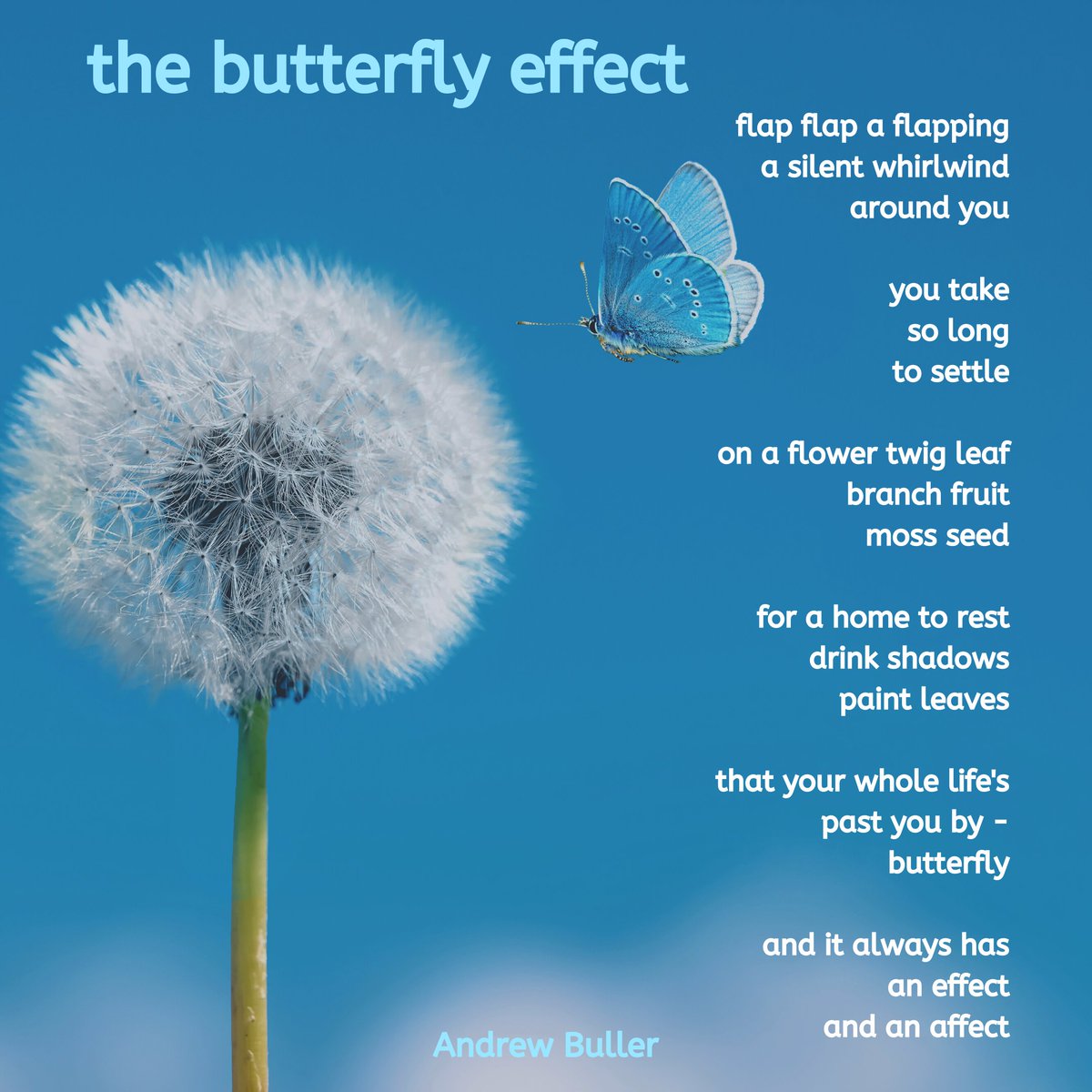 ABullerAuthor's tweet photo. #poetryfriday https://t.co/qFfiJ5bxQF