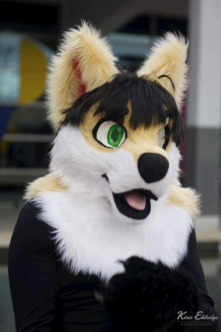 Happy fursuit Friday stay cute and floofy ☺️ 

Also I will be at Swindon pride this weekend come and say hi if anyone is going.

#FursuitFriday