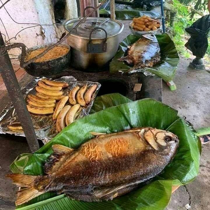Me agrada sobre todo aquel pedazo de tierra donde una finiquita baste para hacerme feliz, y donde el esfuerzo haga que sean abundantes los frutos. “Dios hizo el campo, y el hombre la ciudad.” La jornada comenzó, buenos dias