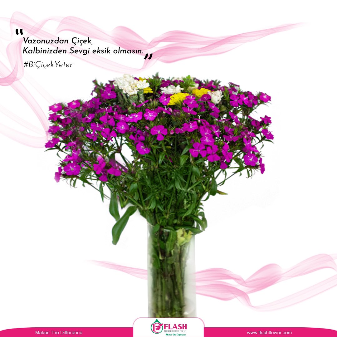 Vazonuzdan çiçek, kalbinizden sevgi eksik olmasın 💐

#BiÇiçekYeter