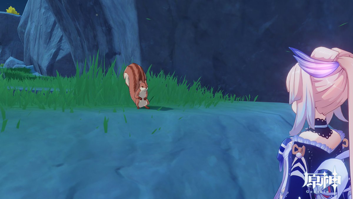 Sangonomiya553's tweet image. kokomisan with Chesterton
#SharedSight 
#アニマルビジョン