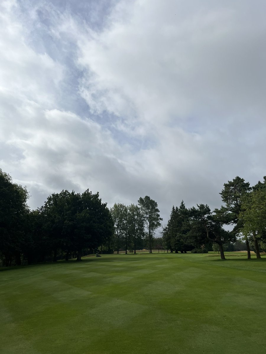 Dean reed tweet media