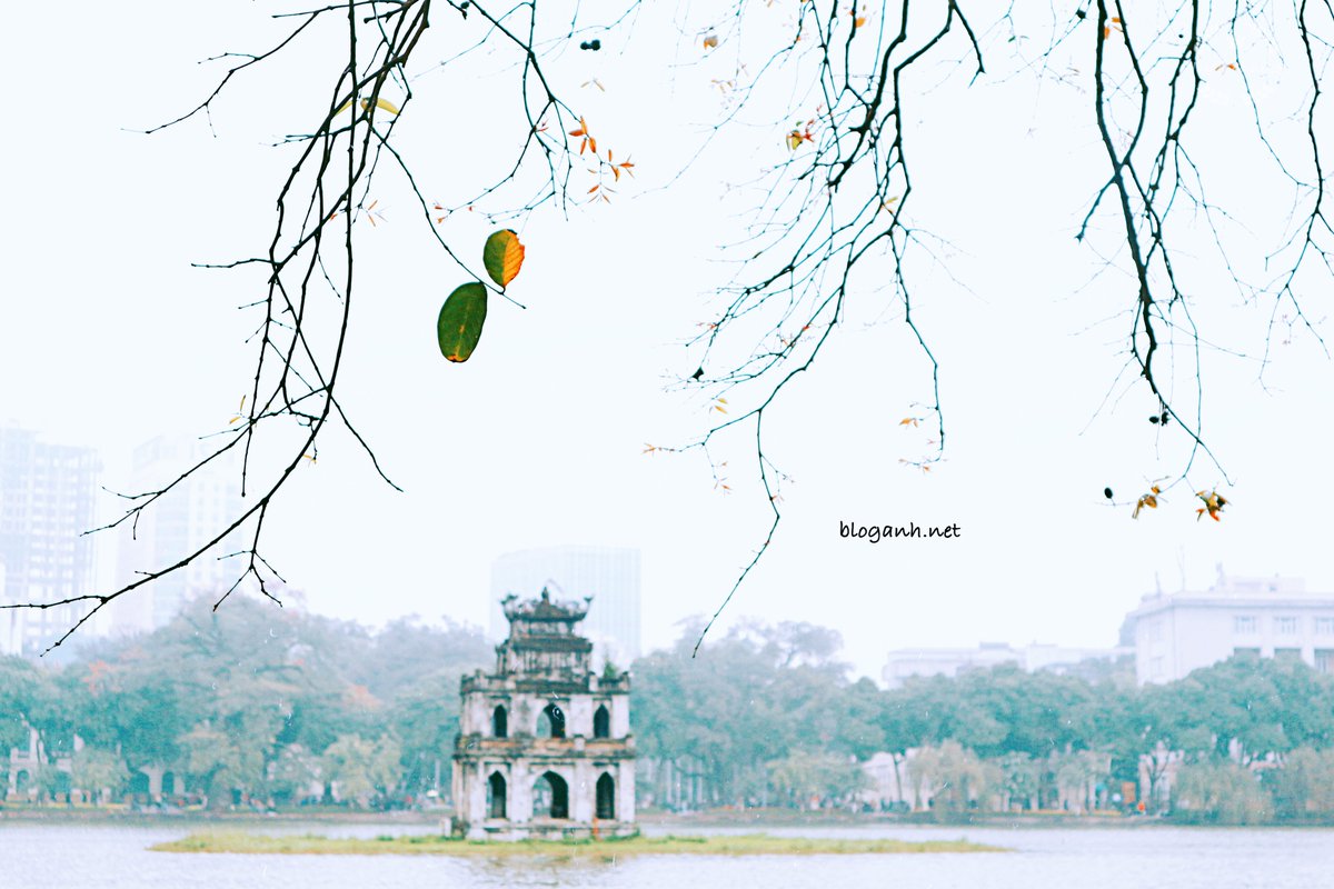 #Hanoi trong một chiều mùa thu lang thang phố xá tìm những món ăn #ngon...
Đó thật sự là một khoảnh khắc #beauty vào năm 2019 mà tôi có dịp được ghi lại.
#hanoi
#photography 
#bloganh
#photostreetlife
#photooftheday
Via: Bloganh.net