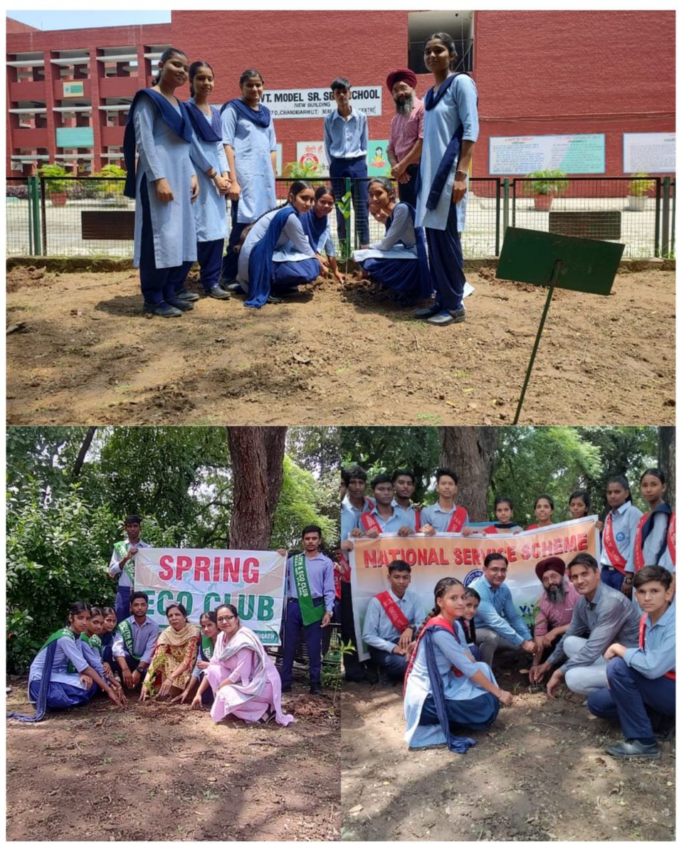 GMSSS-37 D CHANDIGARH tweet media