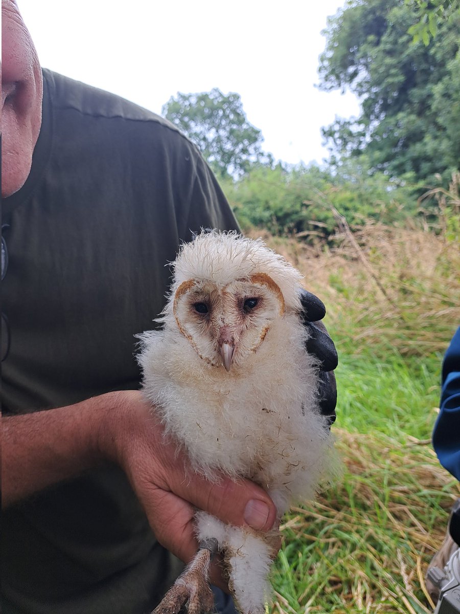 ngillis20@gmail.com tweet media