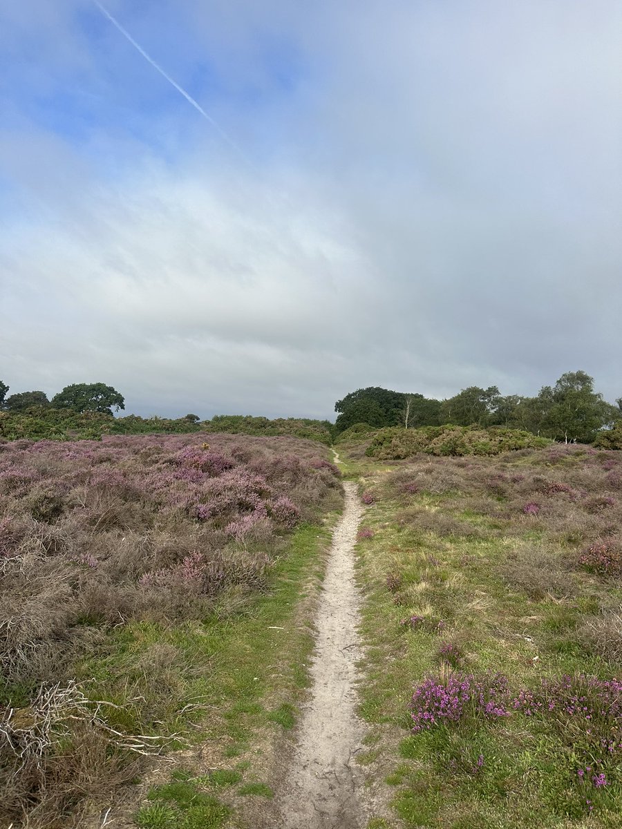 IanChappers's tweet image. Forests, heathland and beach the journey to Dunwich…..and back 🏃🏻‍♂️🏃🏻‍♂️🏃🏻‍♂️ #dunwich #suffolk #Running