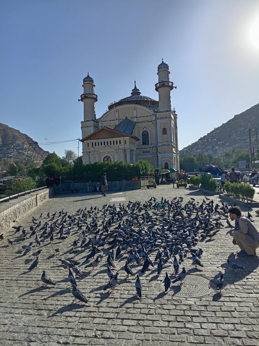 #mosque #kabul #travelAfghanistan  #travel #Afghanistan #voyage #travelphotography  #monuments  #historicmonuments #pigeons  #bestplacestosee  #bestdestinations