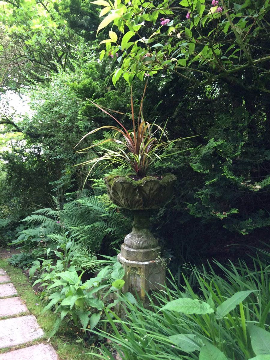 This weekend GALESYKE , Wasdale is open Saturday 12th &amp; Sunday 13th &amp; IVY HOUSE, Cumwhitton, open on Sunday. Time for you to visit the north of the county and see what it has to offer!    All details at ngs.org.uk #cumbria #opengarden