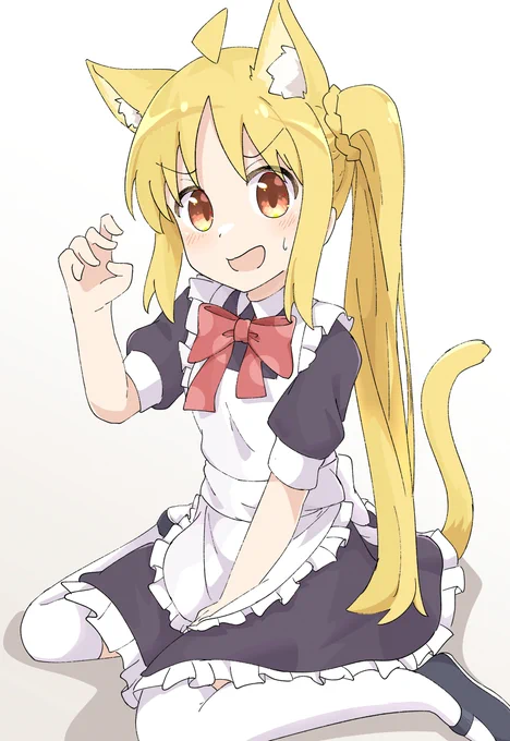 ねこめいどにじか