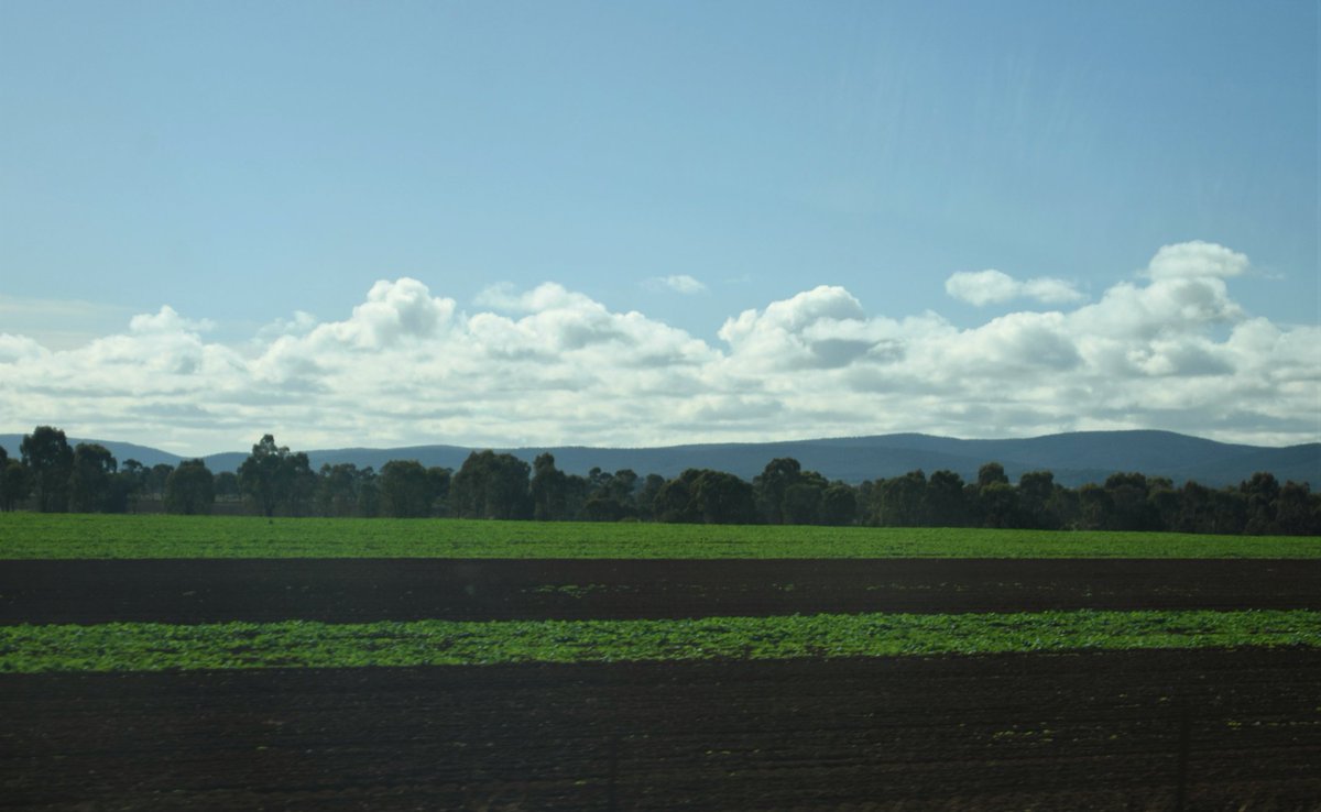 alexandragrose.blogspot.com/2023/08/discip…