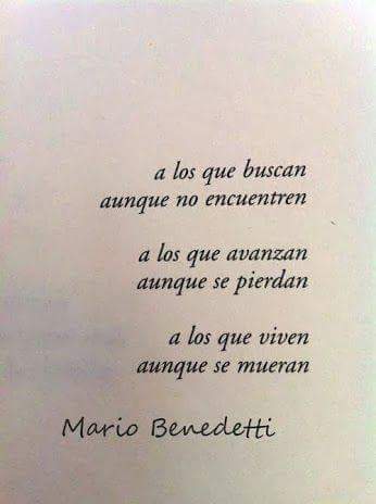 literlandweb1's tweet image. 