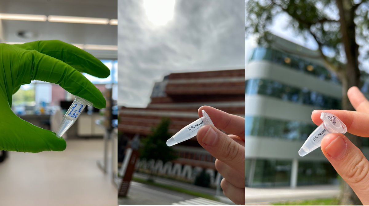 Robin van Dijk tweet media