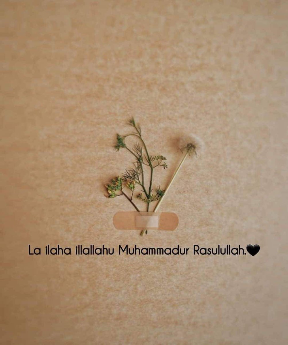 Before I die, I want to say,
 Laa ilaha Illallahu Muhammadur RasulUllah 🤍🌼