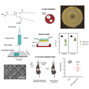 New paper! "3D-printed wound dressings containing a fosmidomycin-derivative prevent Acinetobacter baumannii biofilm formation" <a href="/iScience_CP/">iScience journal</a>
Congrats to our <a href="/davidspro/">David Martínez Pérez</a> <a href="/EmiliaChoinska/">Emilia Choińska</a> <a href="/JIdaszek/">Joanna Idaszek</a> Prof Swieszkowski and co-Authors from <a href="/ugent/">UGent</a> <a href="/UvA_Amsterdam/">UvA Amsterdam</a> 
doi.org/10.1016/j.isci…