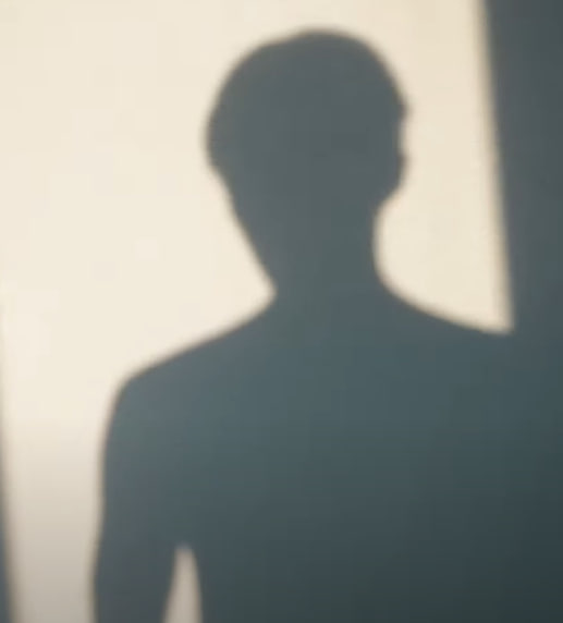 hiyooksung's tweet photo. kamsud lu apa nih?? gk dikasi shirtless di drama dikasinya di vlog dalam bentuk shadow eaaakkkk makasih yaaa hahhaha tau yg bayangannya aja ganteng tauuu
#LeeJunho #KingTheland #LeeFox #GuFox https://t.co/OcHZR6r5V0